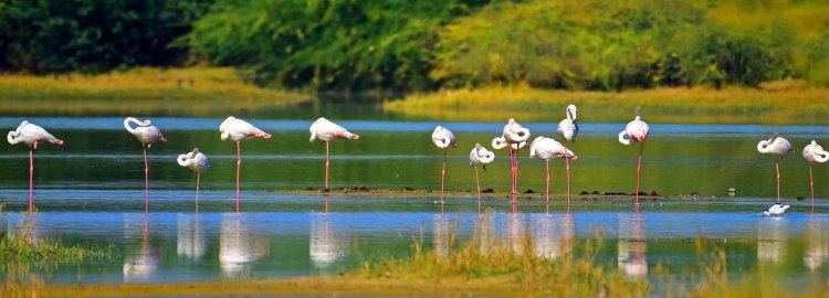 Rouen, détente, gestion du stress, relaxation
